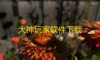 大神玩家软件下载